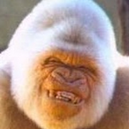 Pad0vani's Avatar'
