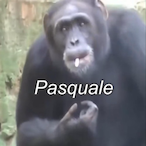 PasquaIe's Avatar'