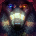 NightWolf.95's Avatar'