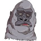 Cavolololo's Avatar'