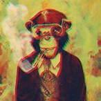 Acid.Monkey's Avatar'