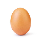E_g_g_g's Avatar'