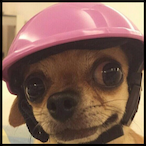 Zrxylol's Avatar'