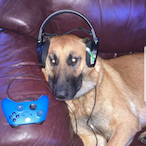 LolMoment420's Avatar'