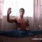 Claud.Van.Damme's Avatar'