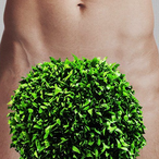 YoungPubichairs's Avatar'