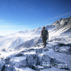 CatlikeDonkey's Avatar'