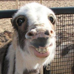 JayyKapolot's Avatar'