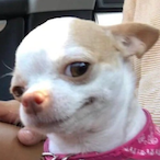 Twjitch's Avatar'