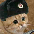 Lastik_1's Avatar'