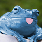 BluFrog-.-'s Avatar'