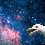 yaghitowski's Avatar'