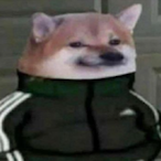 Aqwxa's Avatar'