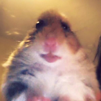 KillerMiller95's Avatar'