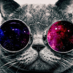 NicFein's Avatar'