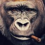 Vallandingman's Avatar'