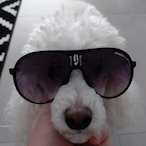XMADOGX's Avatar'
