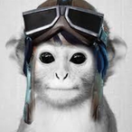 AnnaBorsion's Avatar'