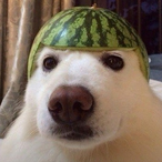 ISnabbaI's Avatar'