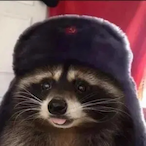 Plausibledig81's Avatar'
