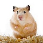 AxelBarsch's Avatar'
