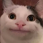 TURBOAMPHDEM0N's Avatar'