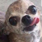 NAWP_'s Avatar'
