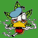 DatDuckDud3's Avatar'