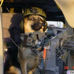 BaseBummer67's Avatar'