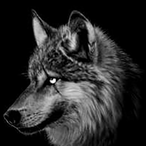 AestasAkira's Avatar'
