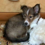 HaloBungie343I's Avatar