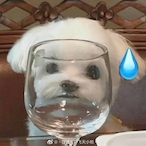 OC_RealFake's Avatar'