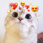 Notcuteanymore.'s Avatar'