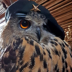Sprotesky_'s Avatar'