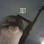 Hiryu1104's Avatar'