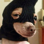 egrxeg.eu's Avatar'