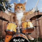 PodsPlann..'s Avatar'