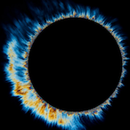 DICE_wq's Avatar'