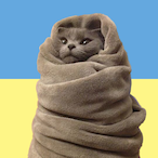 Just-A-Cat's Avatar'