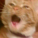 whoUchallin-_-67's Avatar'
