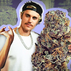 WhippyHippy8's Avatar'