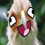 King_DoDo7's Avatar'