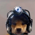 KarnimaniDon's Avatar'