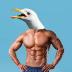Jaecaeb's Avatar'