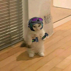 AirrexNotAlive's Avatar'