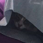 des_699's Avatar'