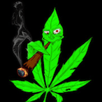 p100's Avatar'