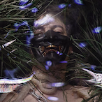 Saltroy's Avatar'