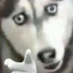 Wait-for-mymark's Avatar'