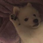 Ang_Gi_MoRing's Avatar'